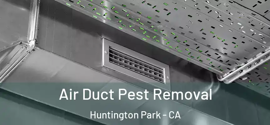  Air Duct Pest Removal Huntington Park - CA