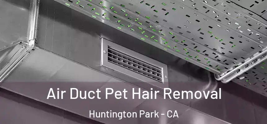 Air Duct Pet Hair Removal Huntington Park - CA
