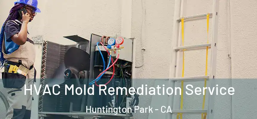 HVAC Mold Remediation Service Huntington Park - CA