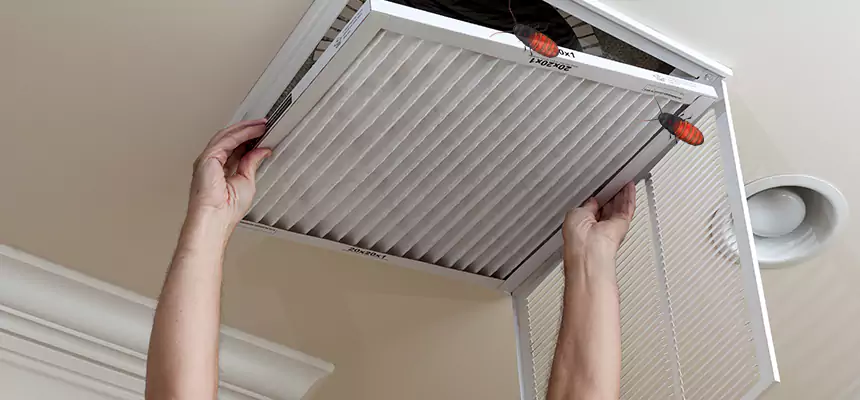 Our Insect Removal from Air Ducts Services in Huntington Park, CA