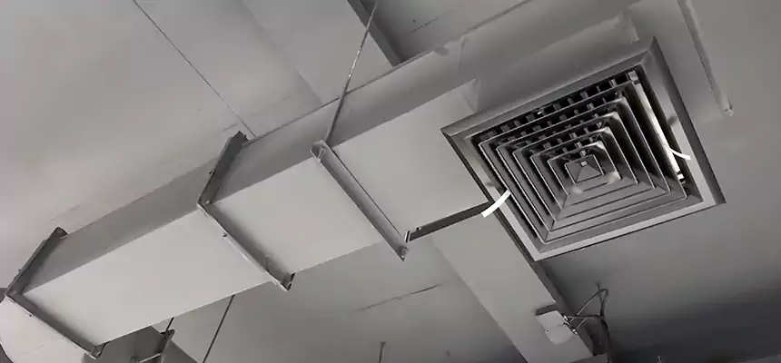 Our Pest Removal From Ducts Services in Huntington Park, CA