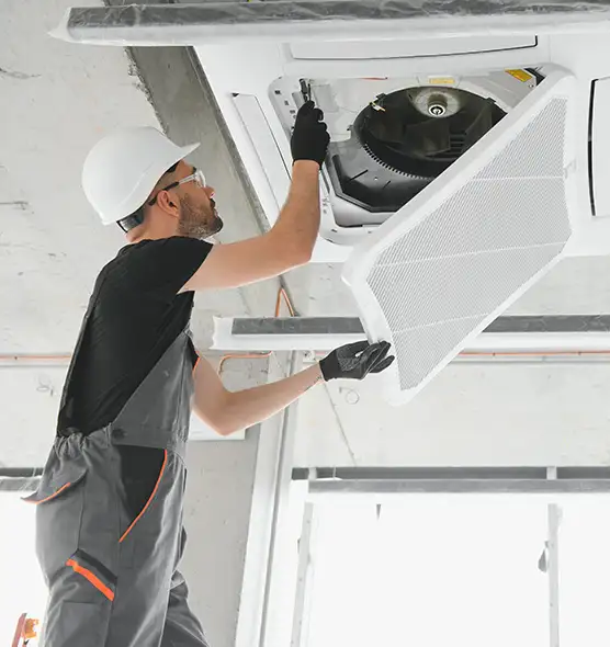 About Air Duct Rodent Removal in Huntington Park, CA