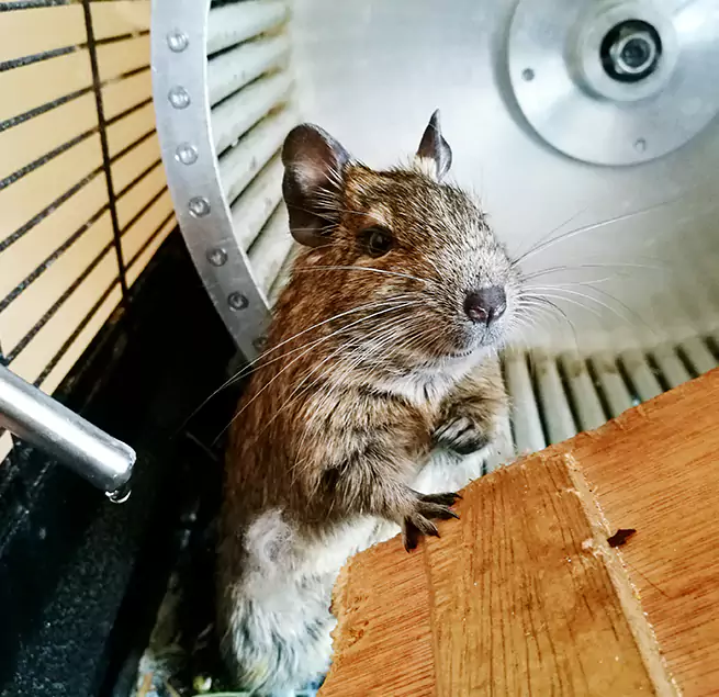 Why Homeowners & Businesses Trust Us Huntington Park, CA